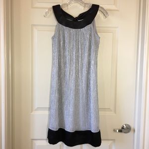 EnFocus Studio | Silver Metallic Shift Dress